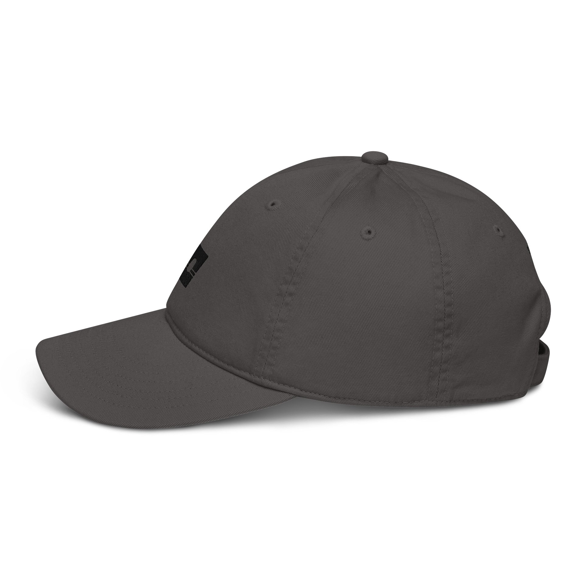 Logo Hat 001 product image (4)