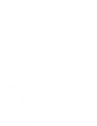 LNobbins Merch