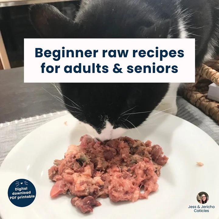 13 beginner raw cat food recipes for adults & seniors PDF download product image (1)
