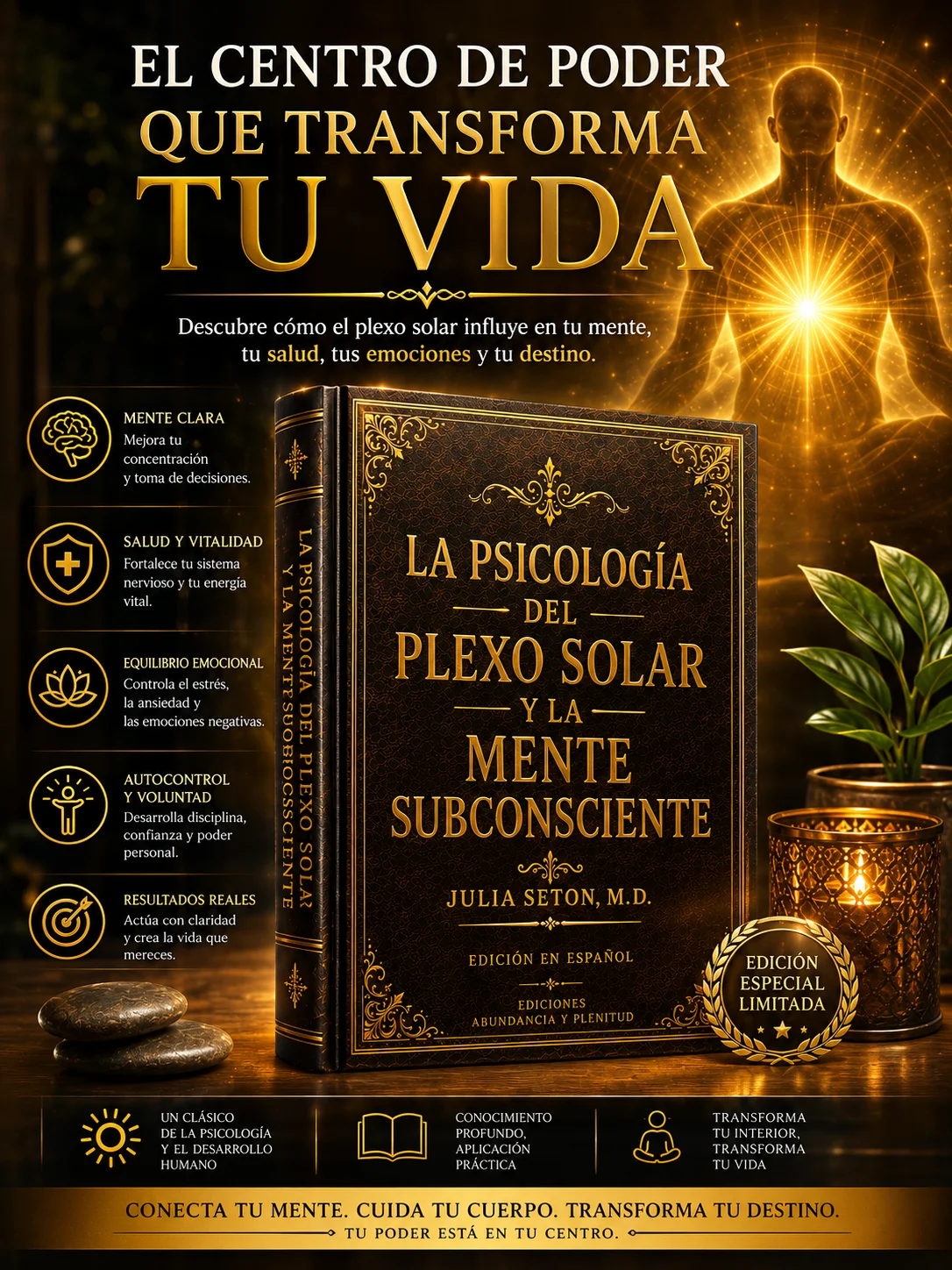 LA PSICOLOGÍA DEL PLEXO SOLAR Y LA MENTE SUBCONSCIENTE product image (2)