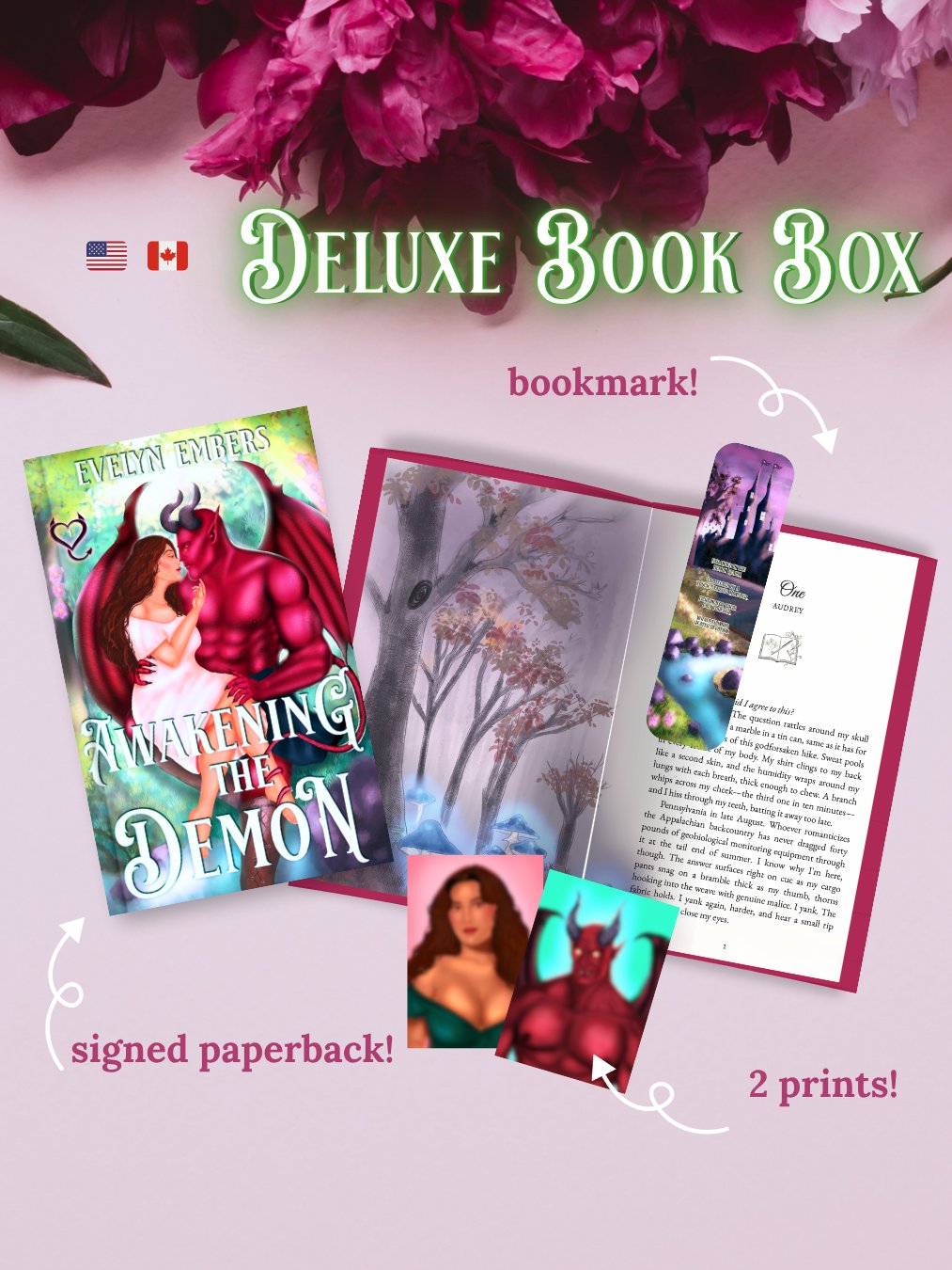 USA/CAN PREORDER Deluxe Book Box - "Awakening the Demon" Signed Paperback+ Art product image (1)