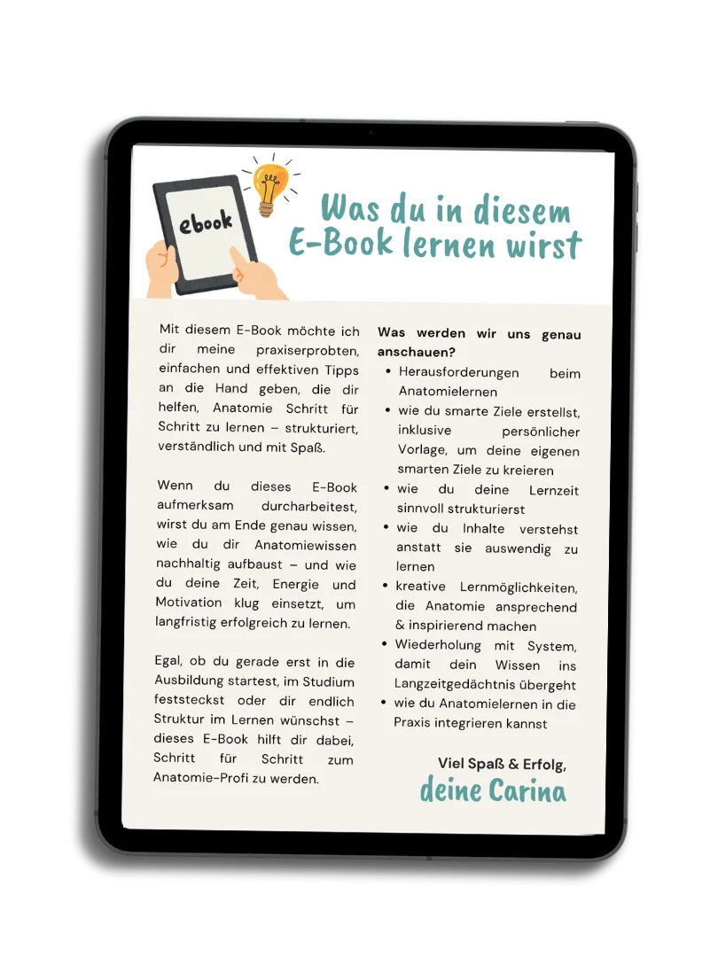 E-Book: Schritt für Schritt zum Anatomie-Profi product image (2)