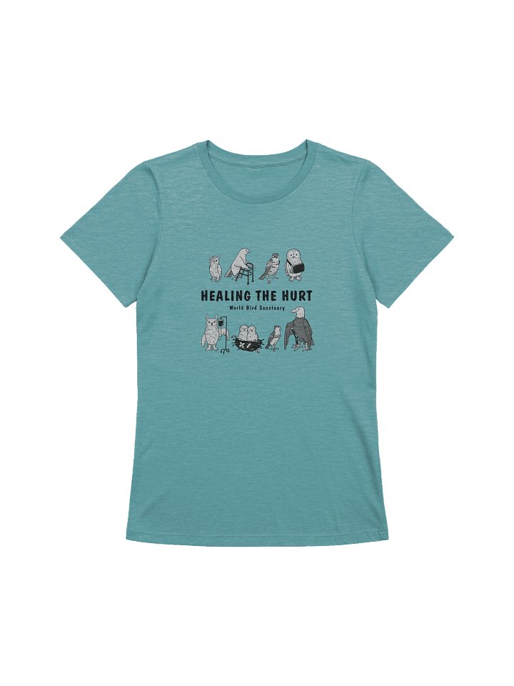 Healing the Hurt- Women's Shirt product image (1)