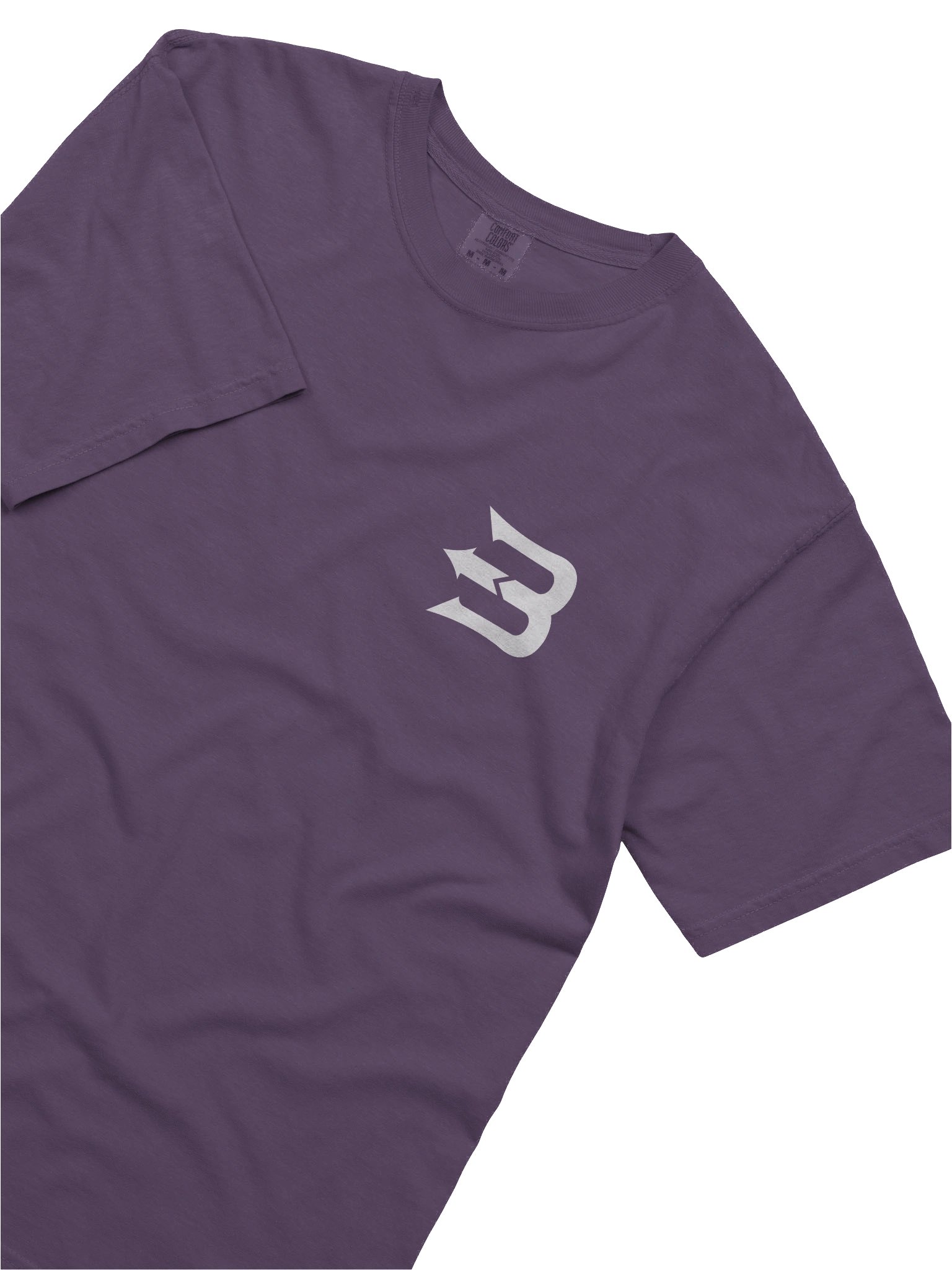 BzrK Basic Logo Tee product image (4)