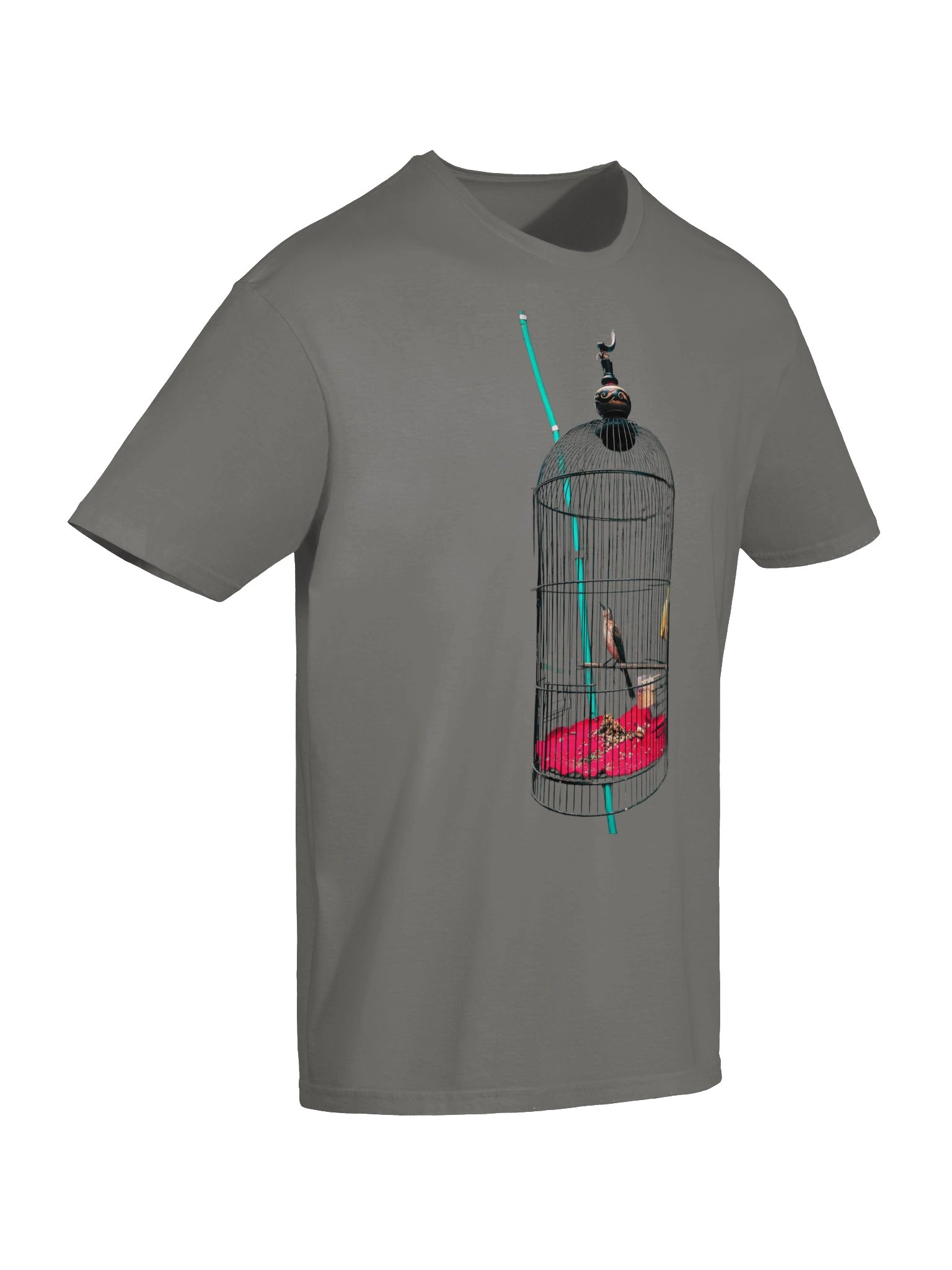 Bird in the Cage Graphic Tee product image (8)