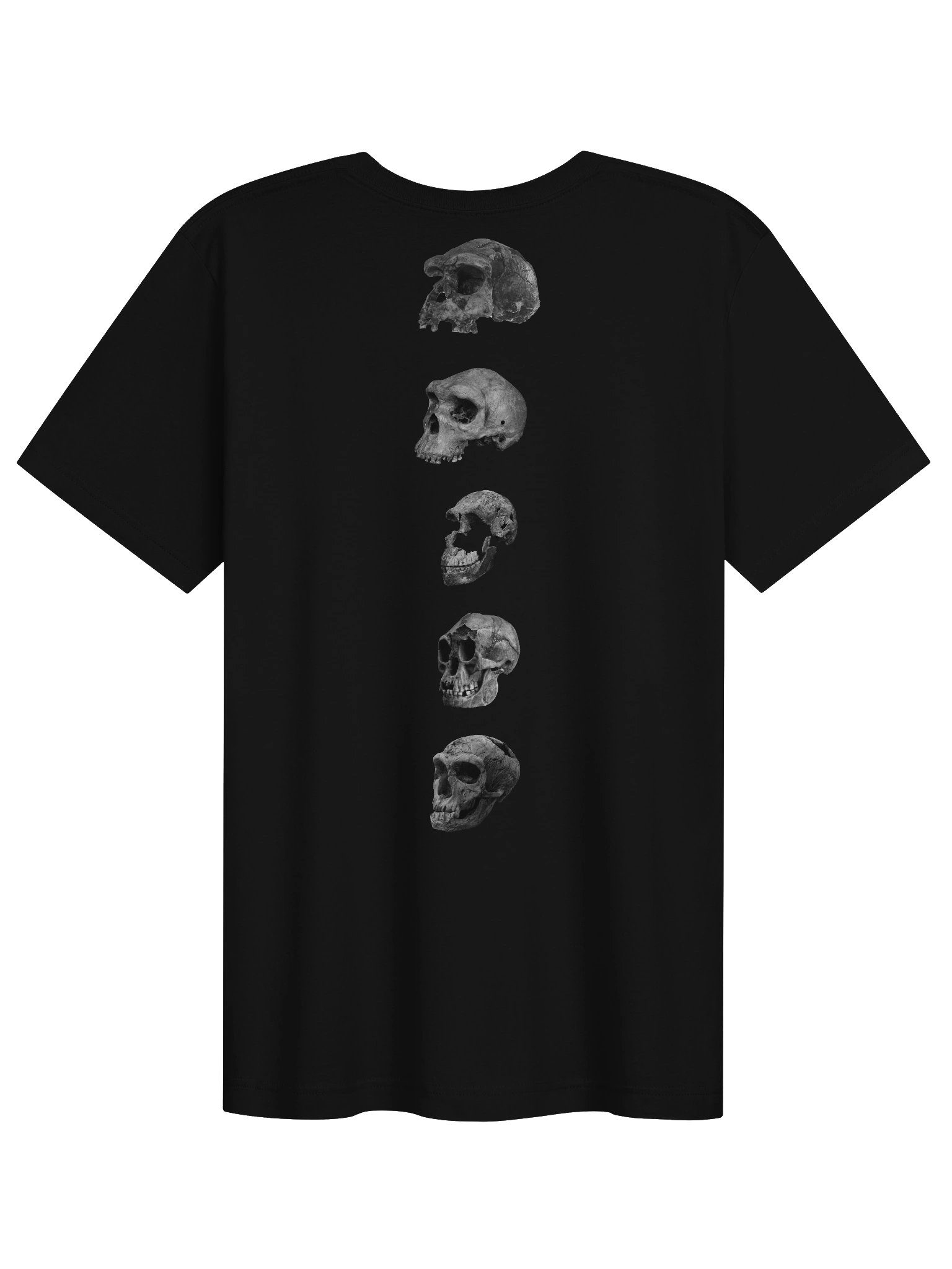 Skull Collection T-Shirt Dark product image (2)