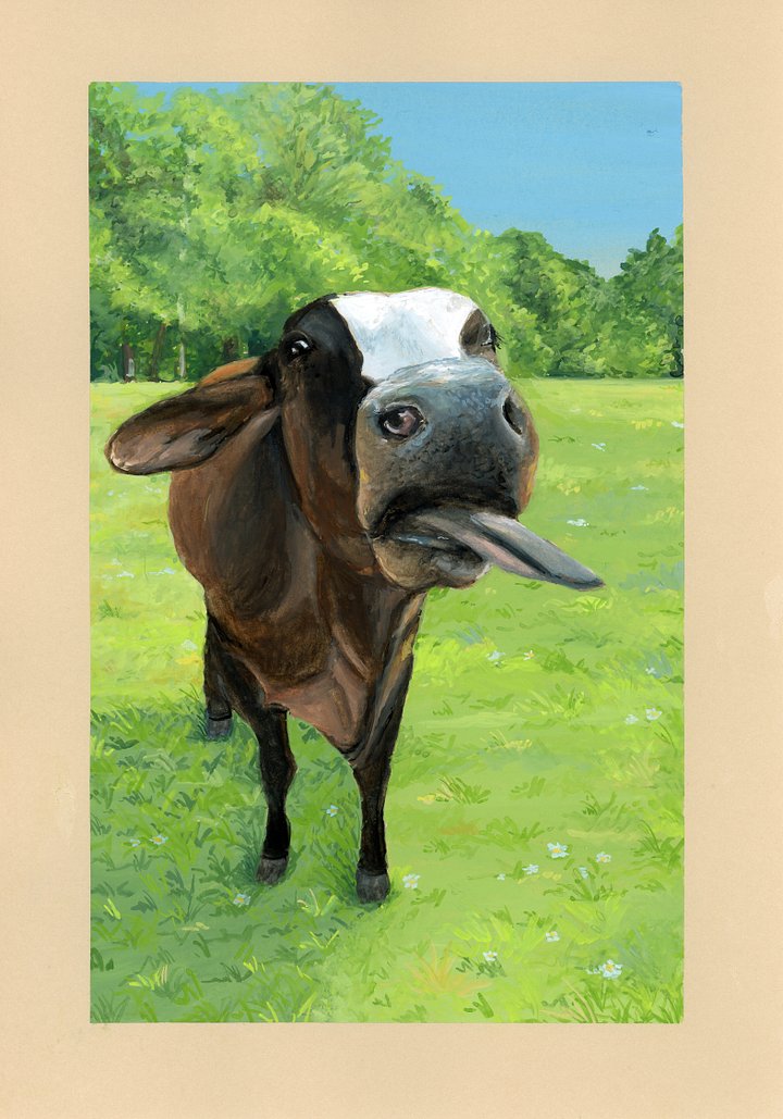Coo - ORIGINAL product image (1)