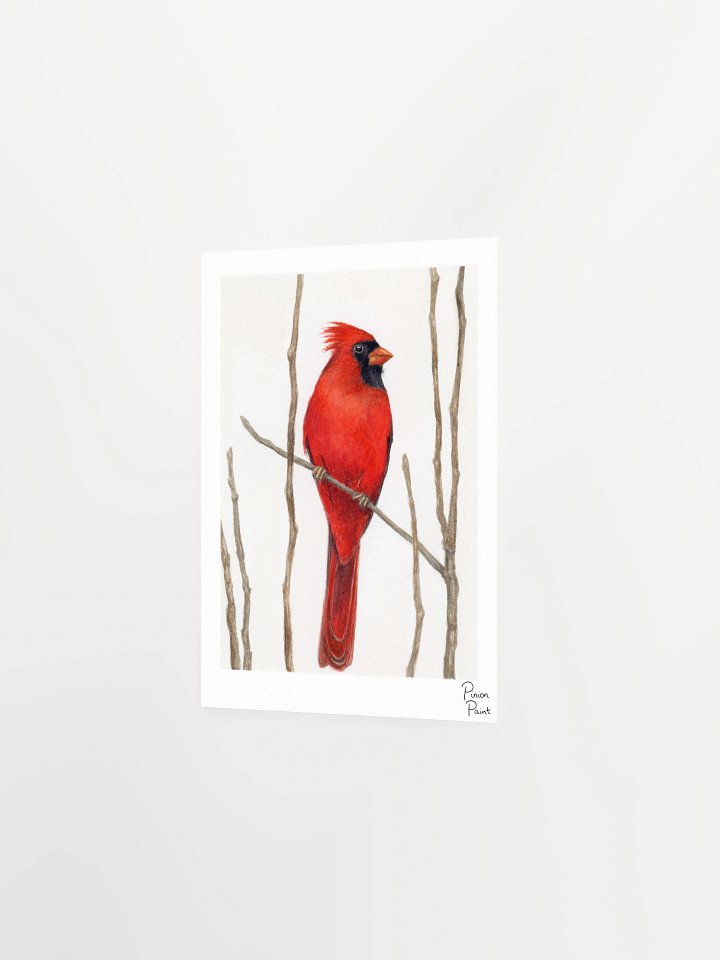 Cardinal print product image (4)