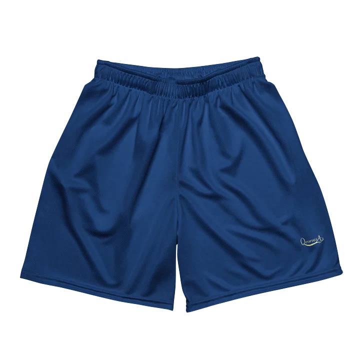 Blue Unisex Mesh Shorts product image (1)