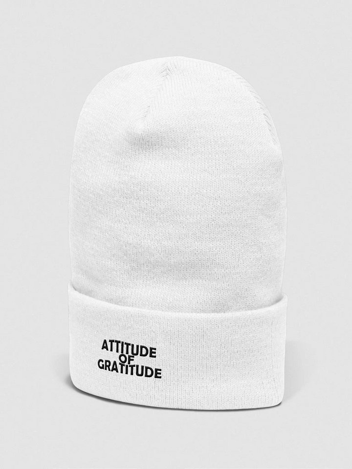 Attitude of Gratitude. product image (2)