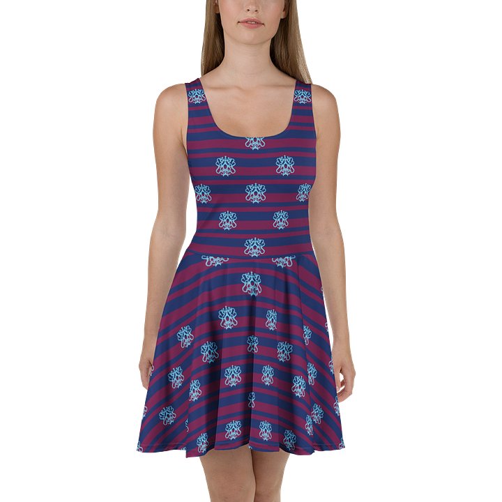 Navy Flirty Academic Skater Dress product image (1)