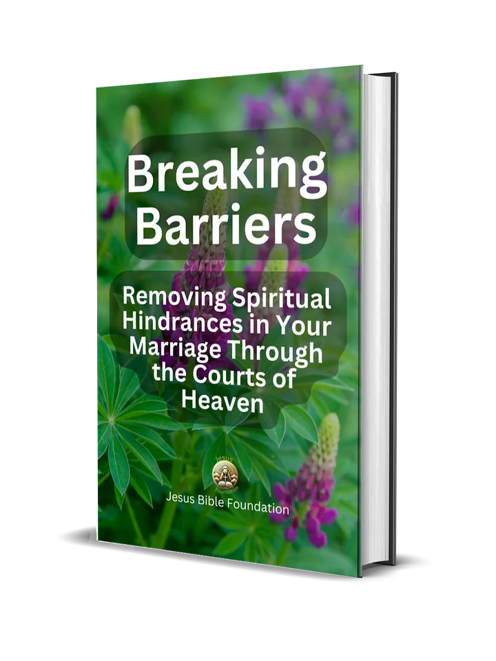 Breaking Barriers: Removing Spiritual Hindrances in Your Marriage Through the Courts of Heaven product image (1)