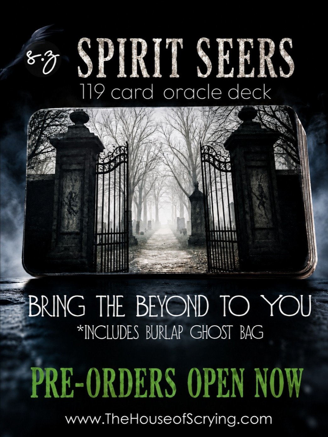 Spirit Seers Oracle Deck (119 cards) product image (1)