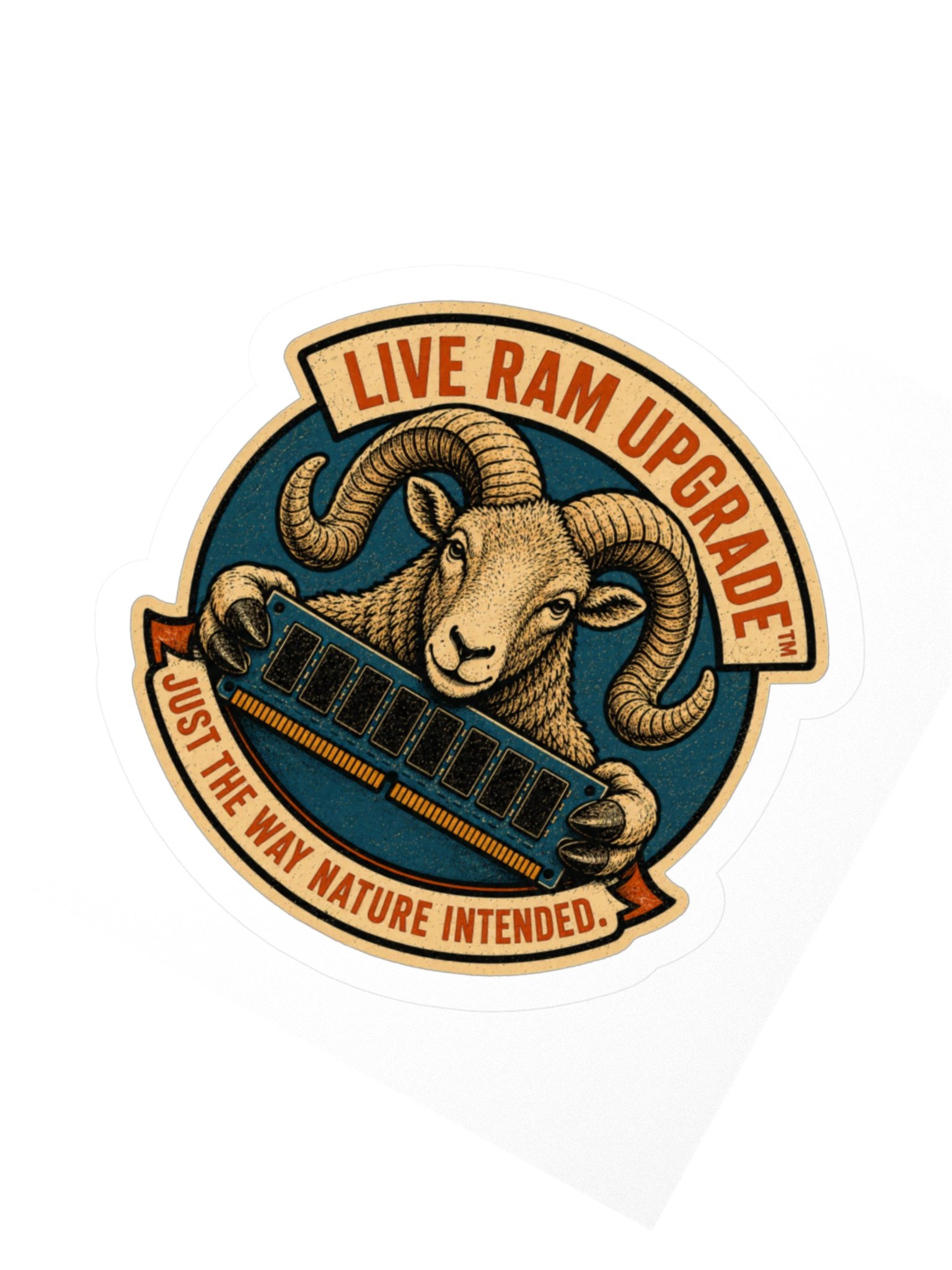 Live RAM Upgrade product image (4)