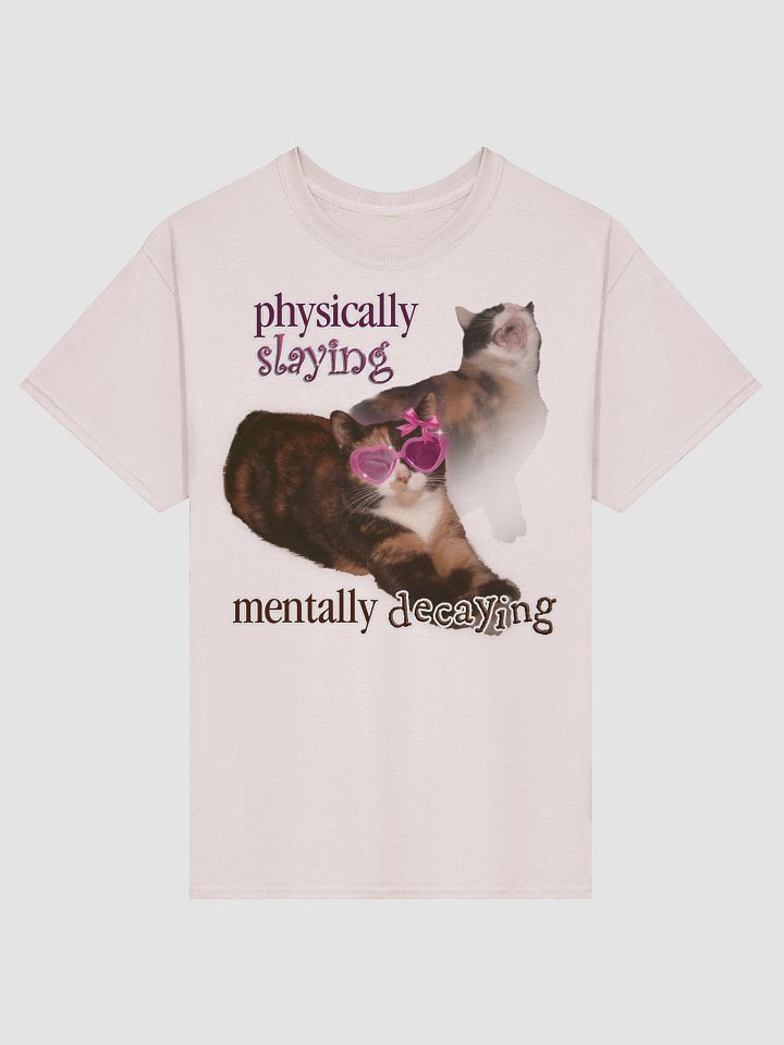 Physically Slaying Mentally Decaying - Cat T-shirt product image (2)