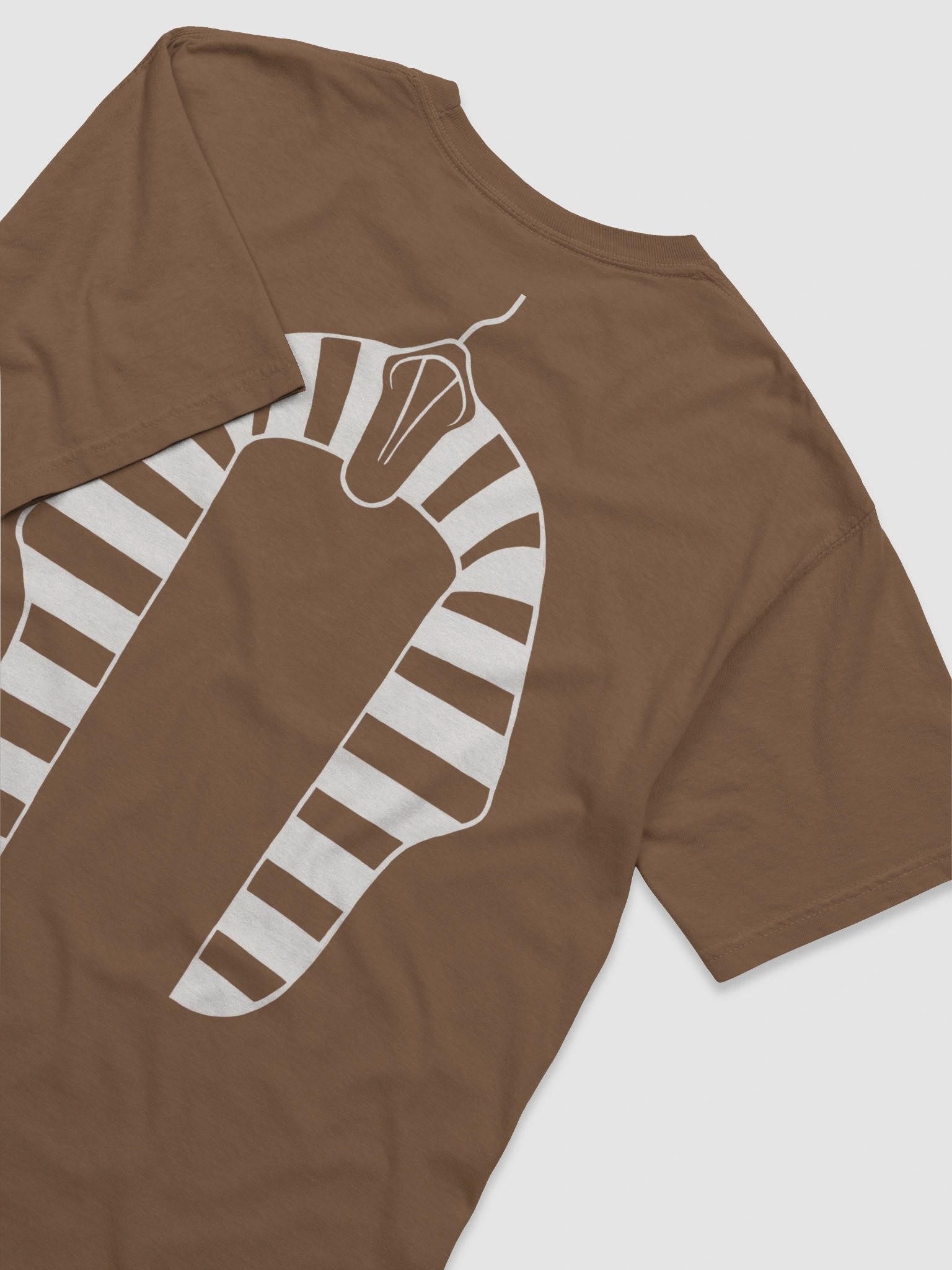Hieroglyphics Tee (White Pharaoh) product image (31)