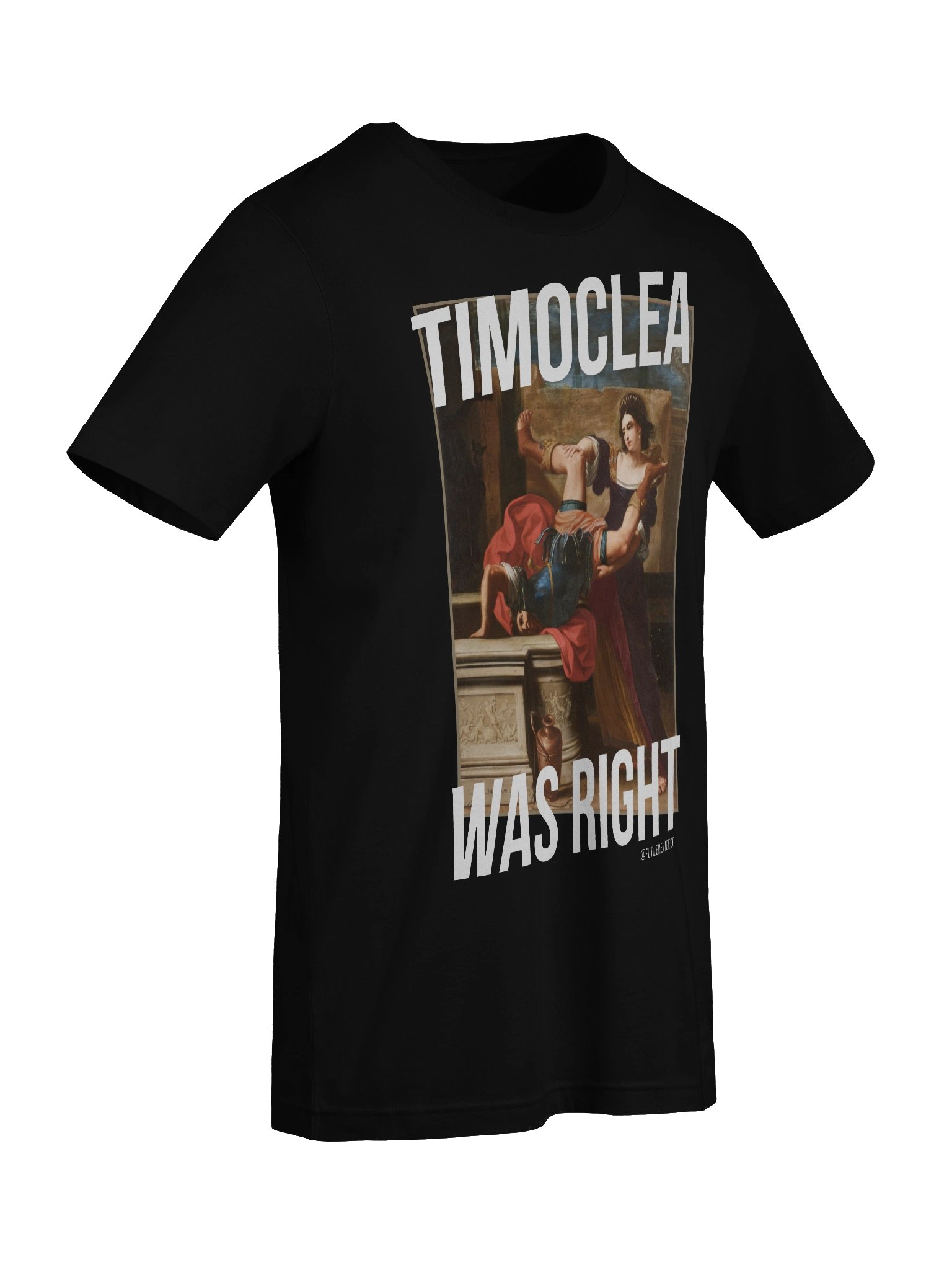 FUTILE DEVICE: TIMOCLEA WAS RIGHT product image (77)