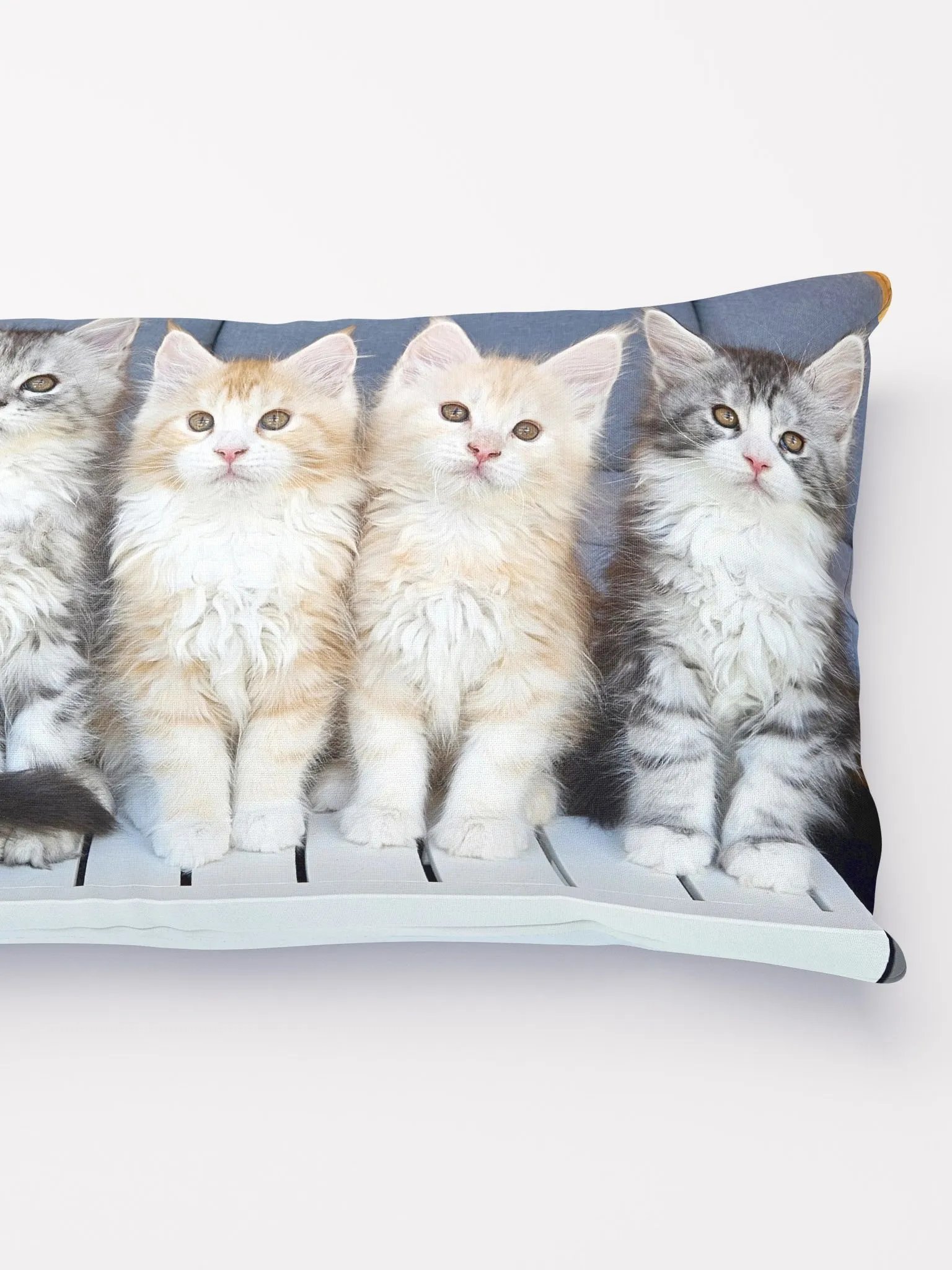 Freya's Kittens (2023) - Pillow product image (2)