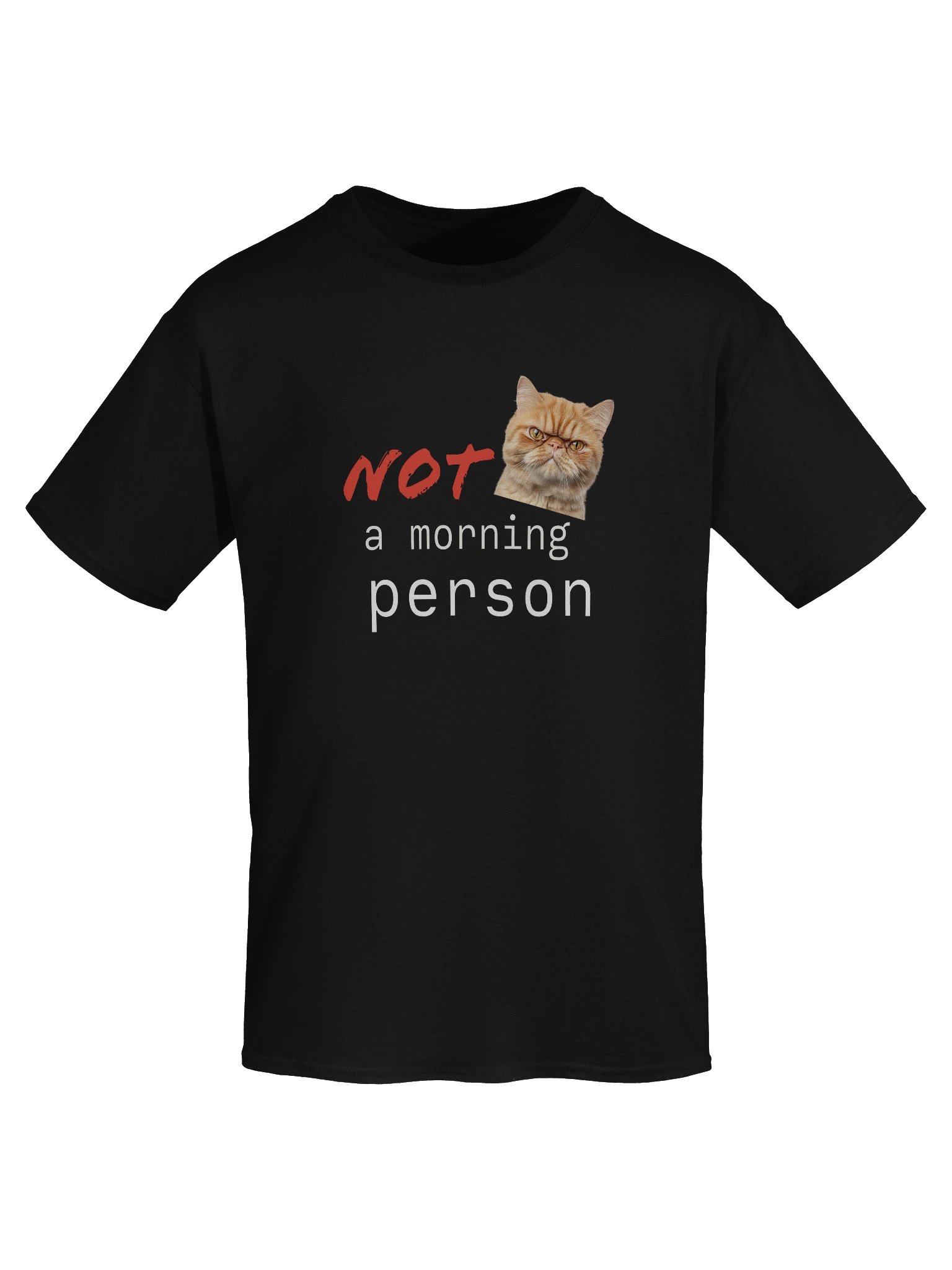 Not a morning person product image (49)