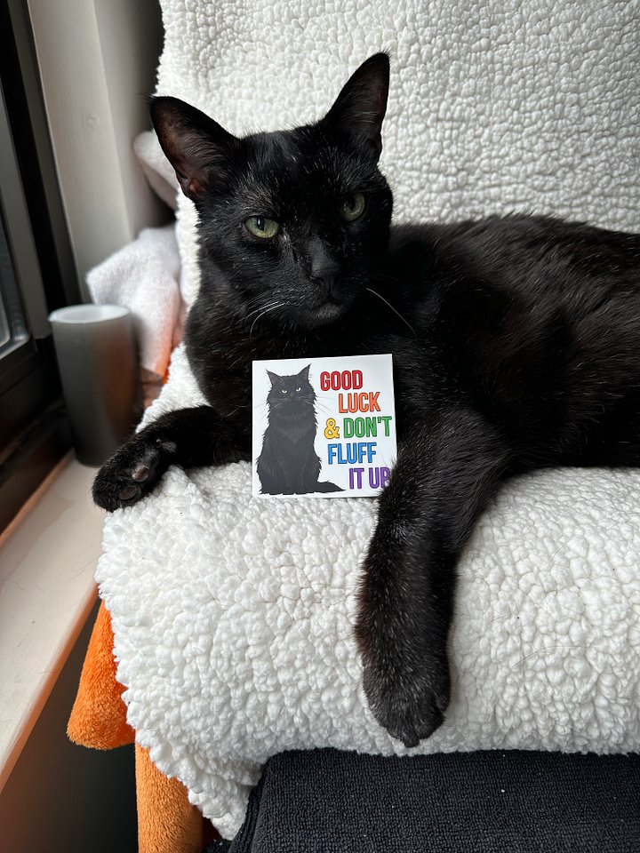 Good Luck and Don't Fluff It Up sticker product image (2)