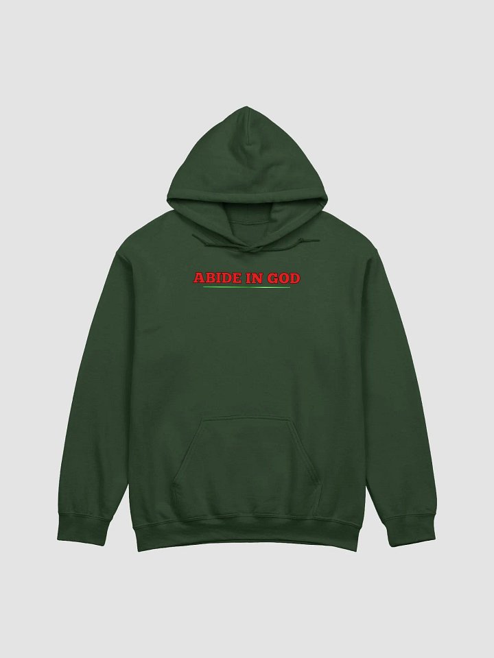 Abide in GOD product image (1)