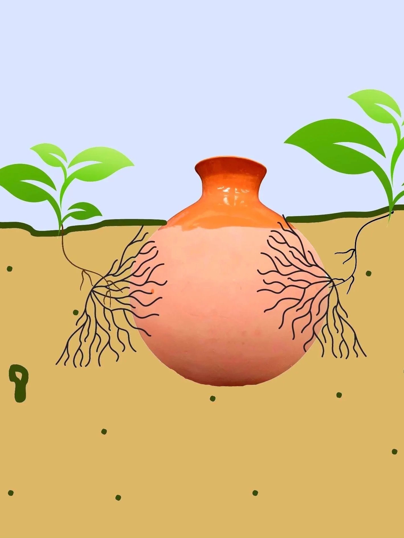 XL Garden Olla Watering product image (1)