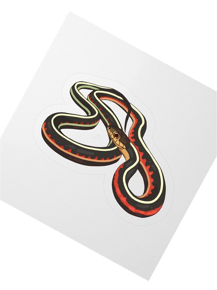 Red-Sided Garter Snake - Thamnophis sirtalis parietalis Sticker product image (5)