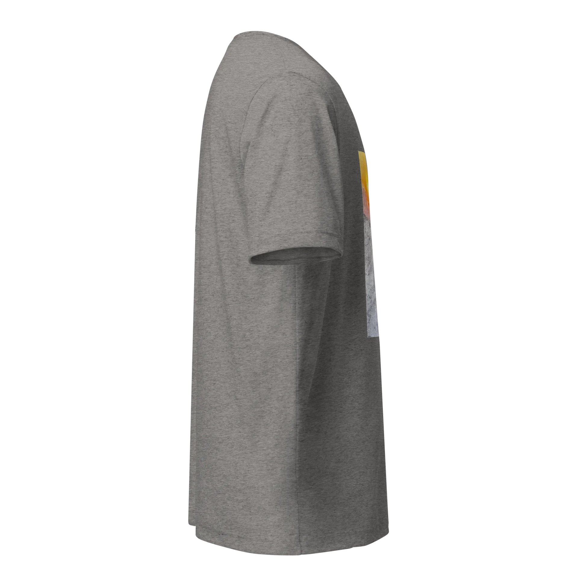 Lion front - gray product image (3)