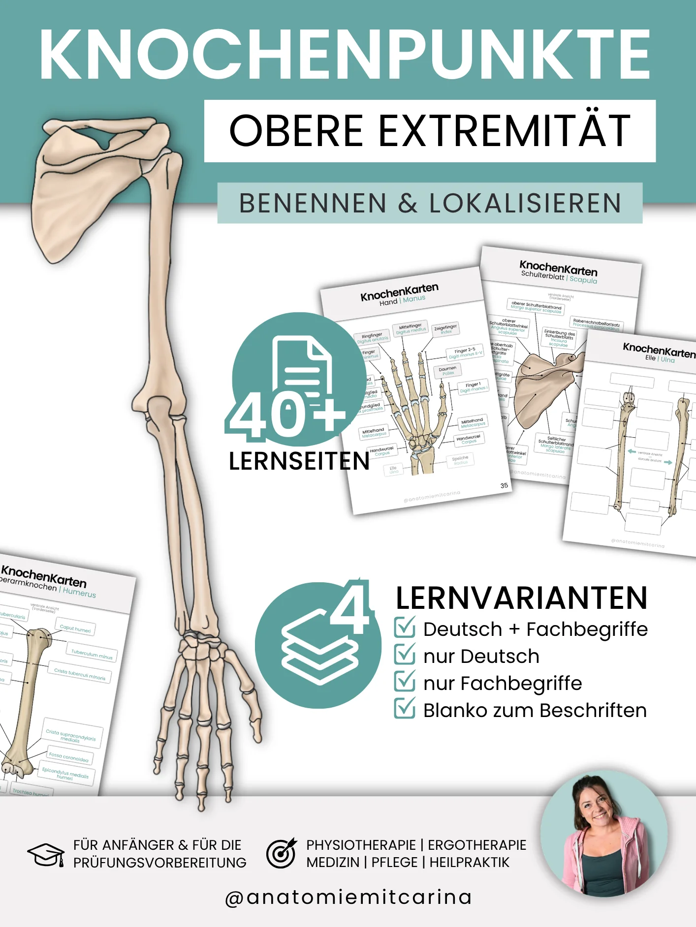 LernKarten 'Knochenpunkte obere Extremität' product image (2)