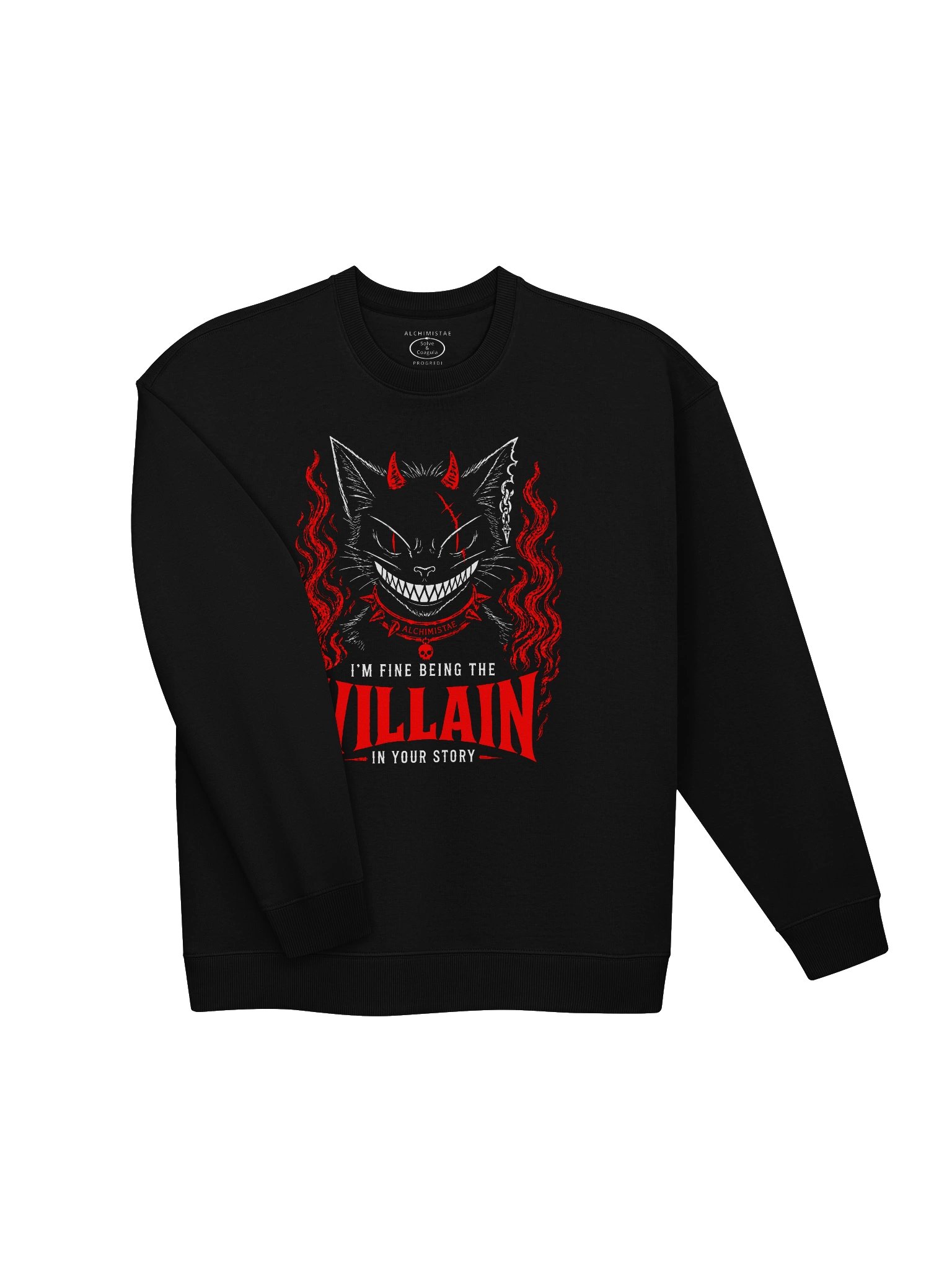 Sweatshirt Unisexe Oversize Coton Bio Poids Lourd – The VILLAIN product image (7)