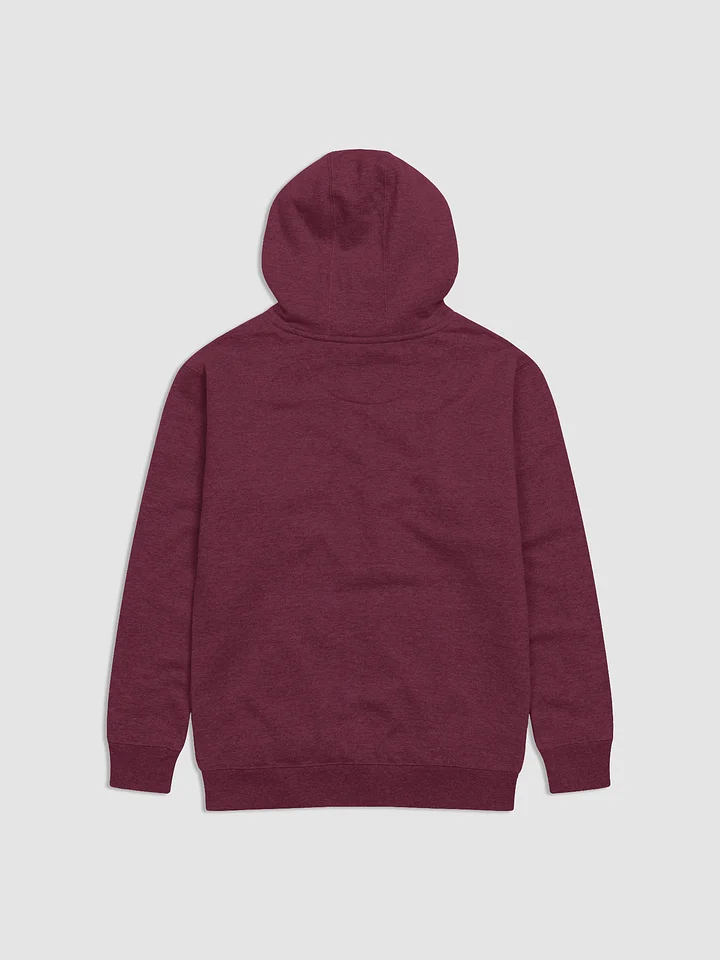 EXTRAORDINAIRE IMMIGRANT HOODIE PURPLE product image (2)