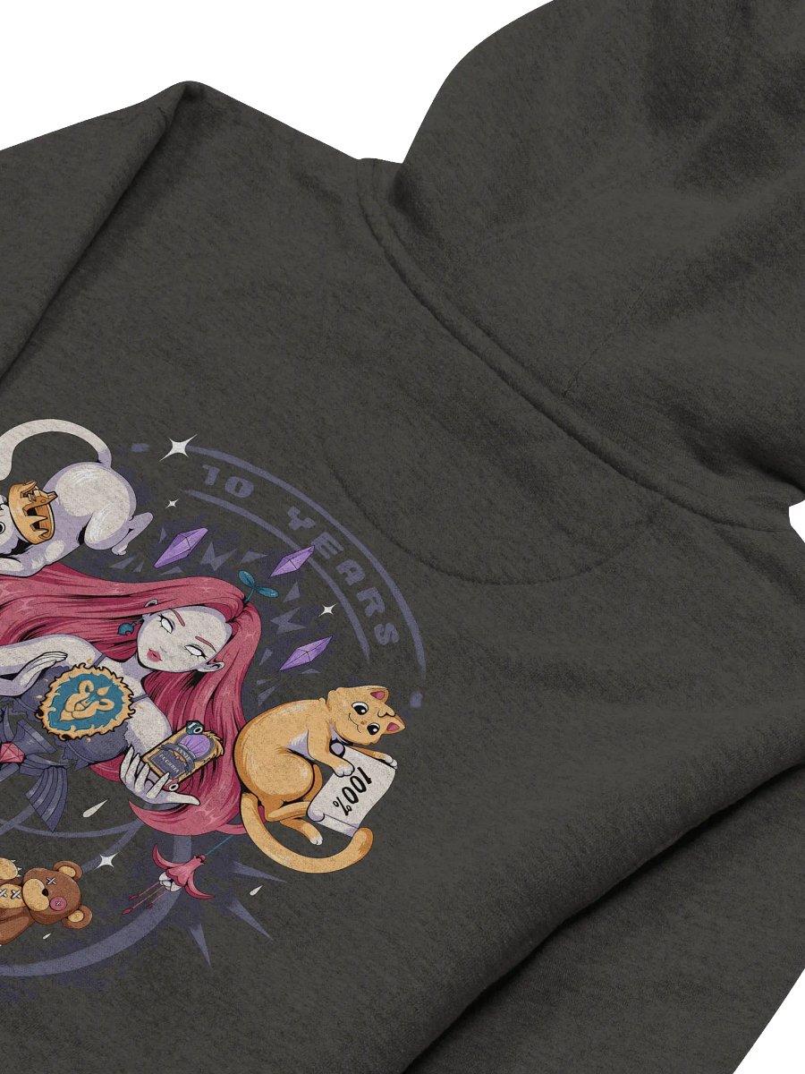 Anniversary Hoodie (Vintage Black) product image (5)