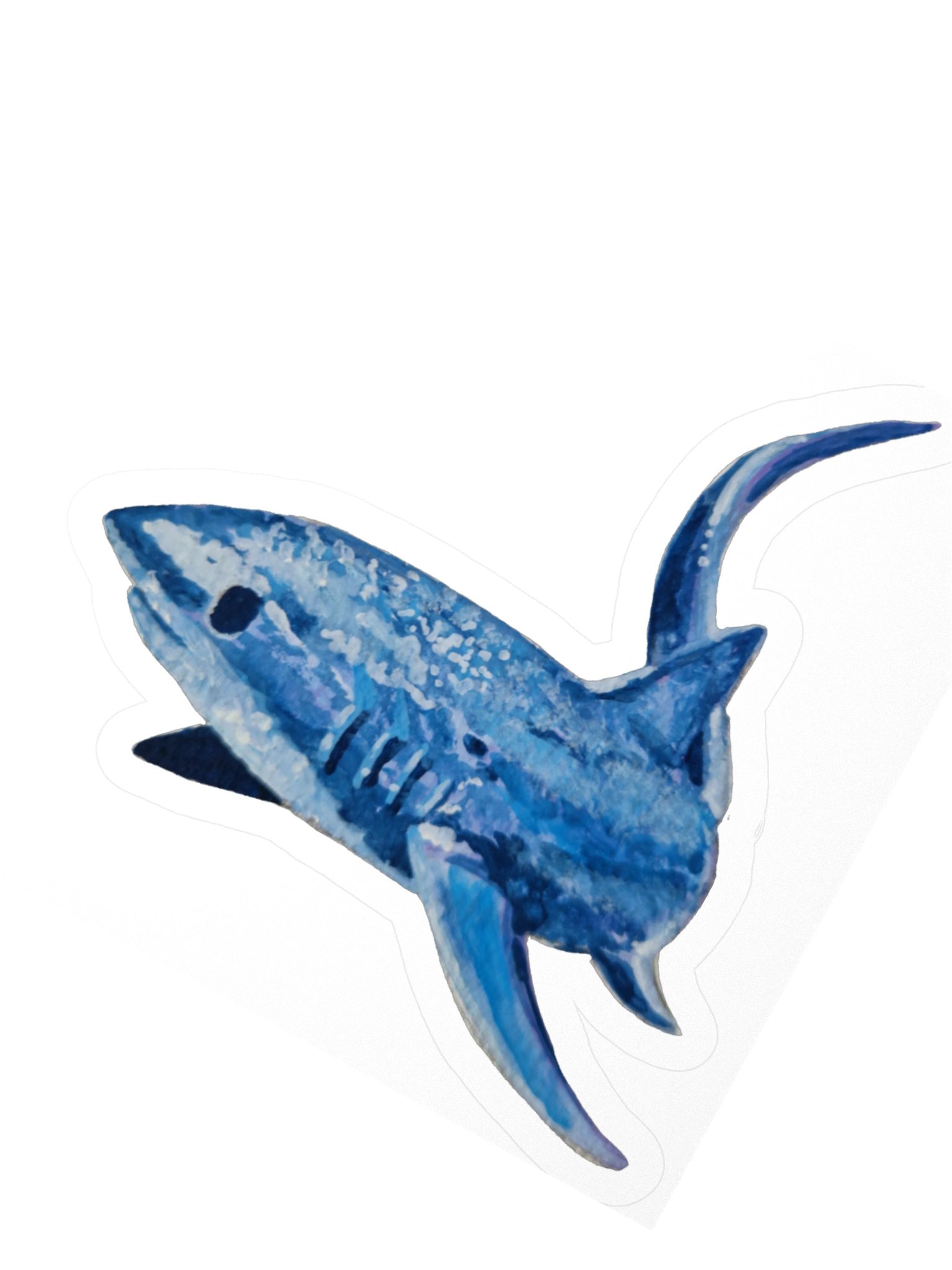 Sticky shark product image (4)