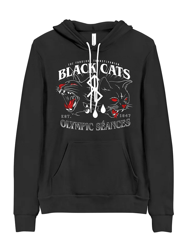 Michael Lafko - "Black Cats" Pullover Hoodie product image (1)