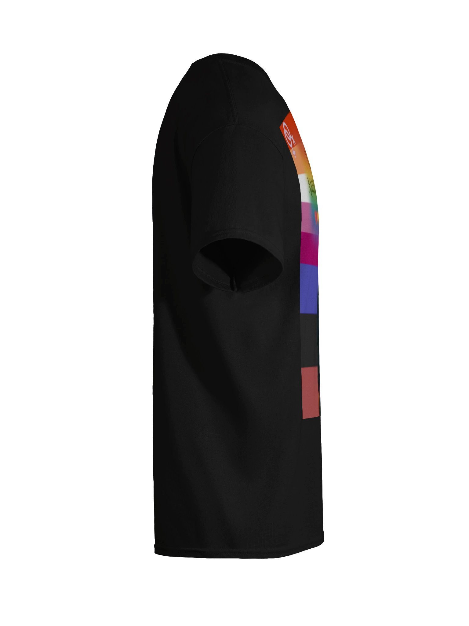 Lesbian Ambiamorous Pride Rainbow Tee product image (10)