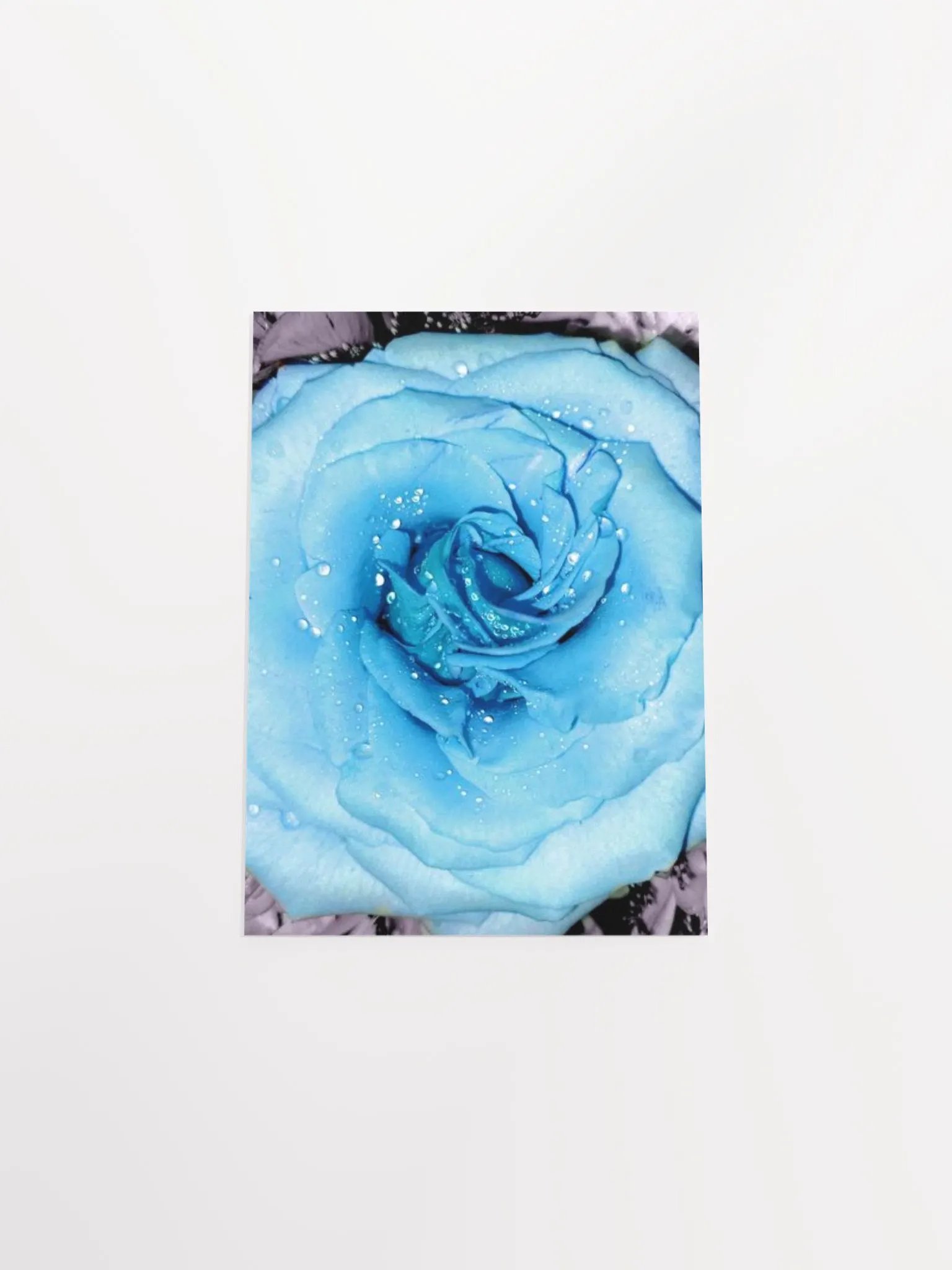 Blue Rose product image (45)