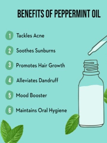 زيت النعناع العطري product image (2)