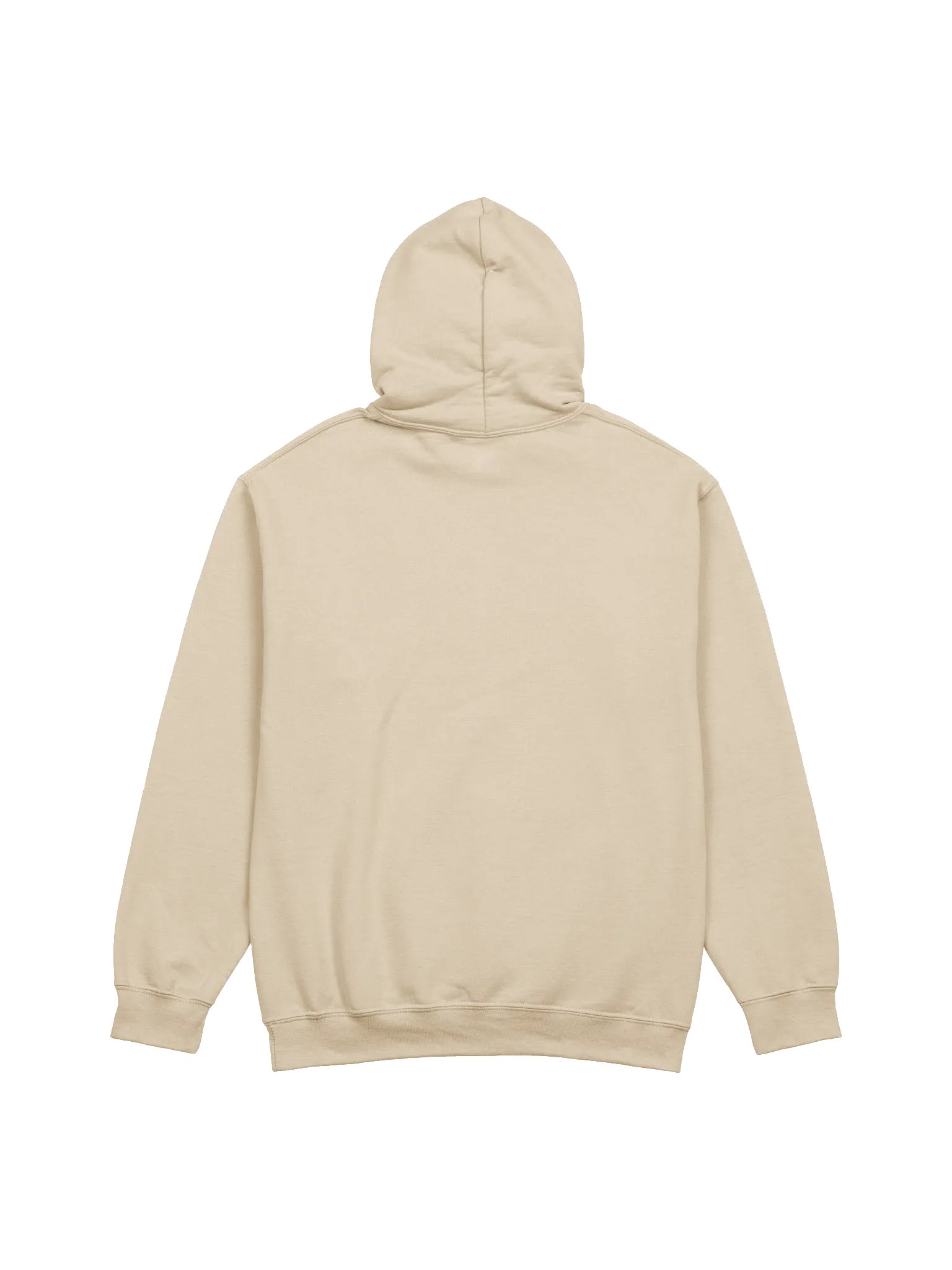 HIGH FIVE FOR HIFI Hoodie product image (4)