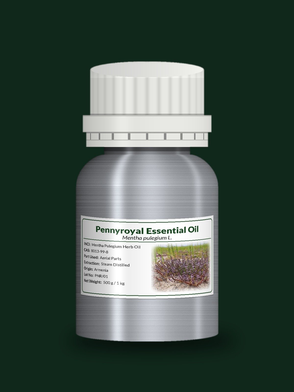Pennyroyal Essential Oil (Mentha pulegium L.) product image (1)