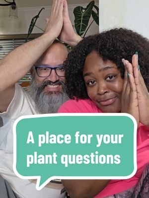we've been going back and forth if we should do this and we decided it would be the best thing considering the amount of DMs and comments we get with plant questions. it's opening up on july 7th. science backed, community driven, your input on what you want to see. nobody conflicting advice. more tomorrow. 🪴 #misfitsandmatcha #planteducation #houseplants #learnaboutplants #environmentalscience 