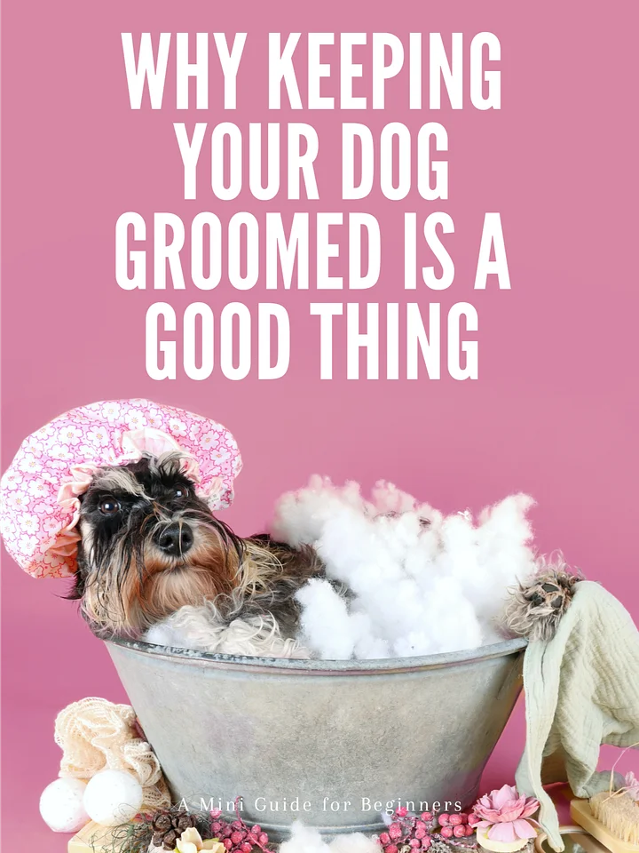 Why Keeping Your Dog Groomed is a Good Thing product image (1)