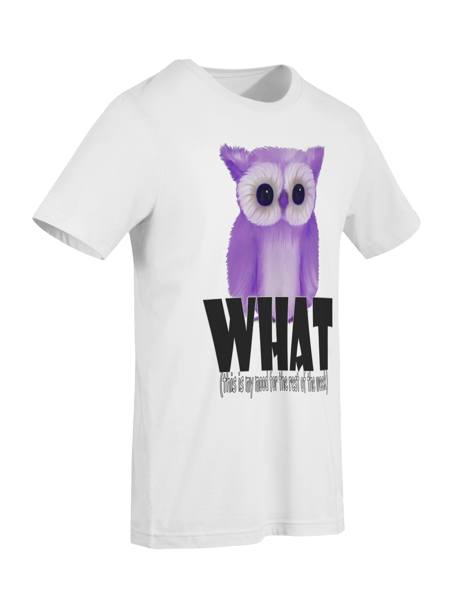 Owl "WHAT" T-Shirt. Women's Bella+Canvas Supersoft T-Shirt product image (4)