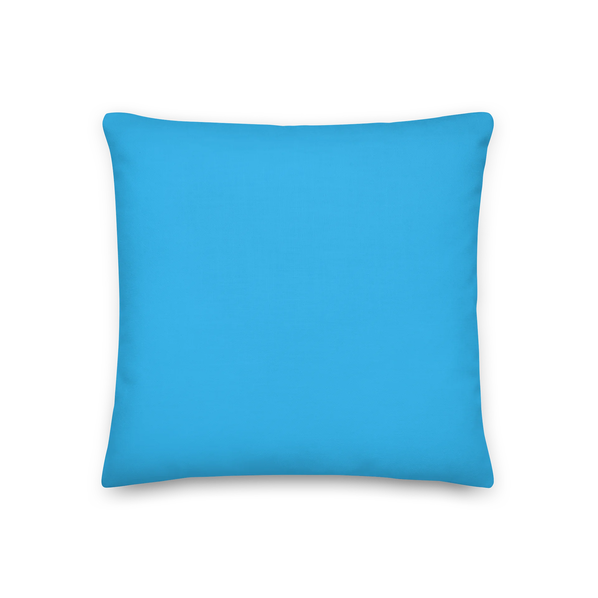 CCC Pillow product image (2)