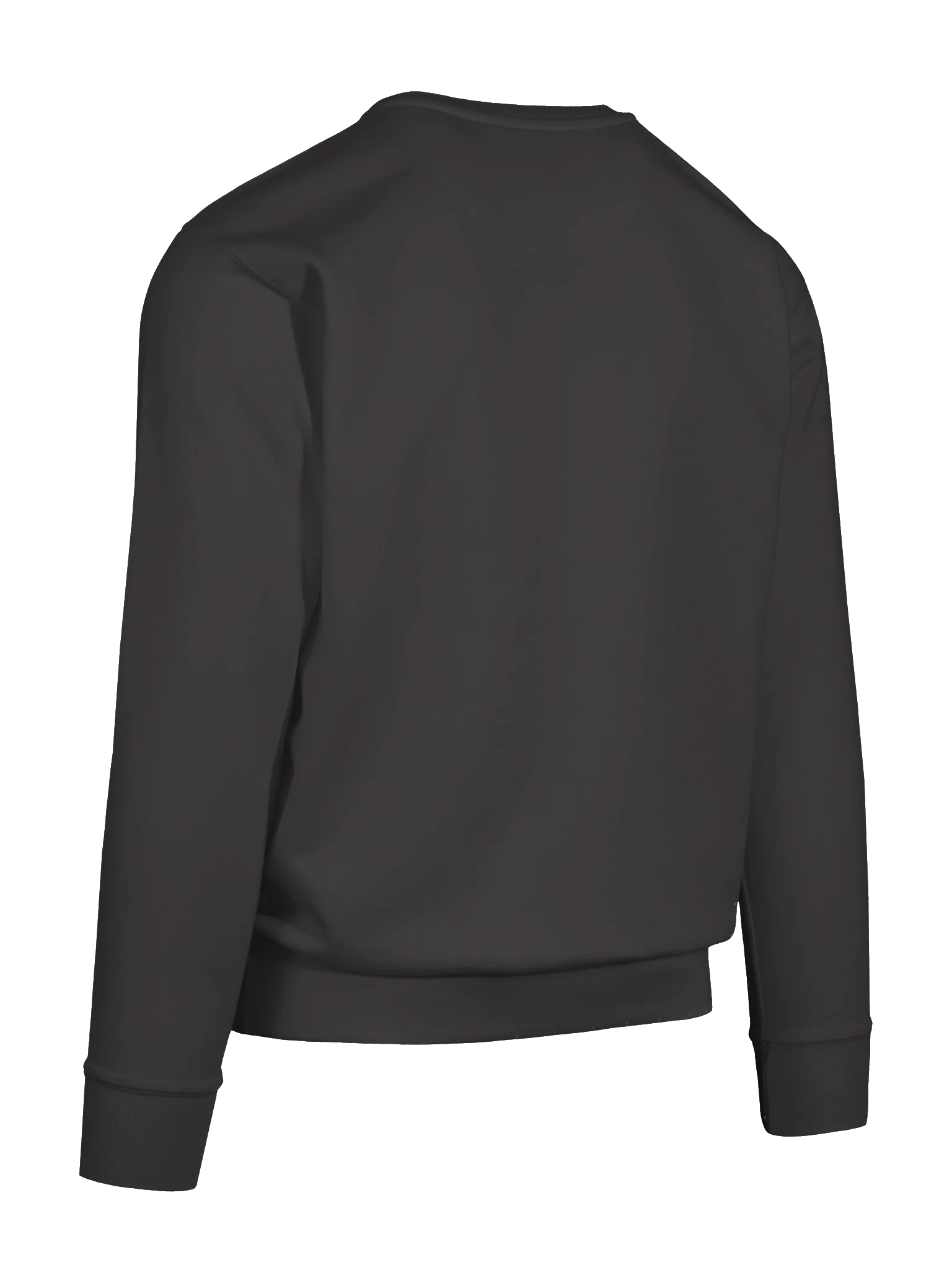 Additional Tags Sweatshirt product image (8)