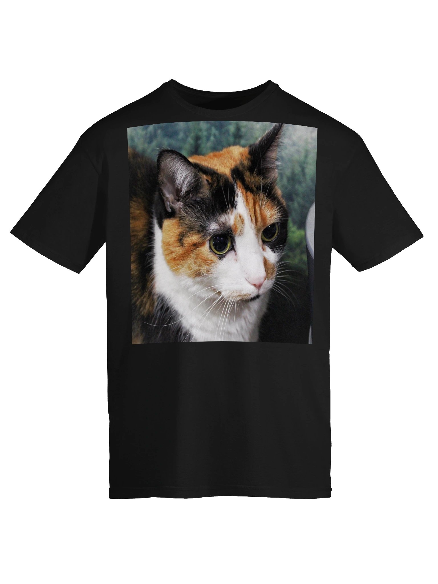 Captain Noodle Shirt product image (5)
