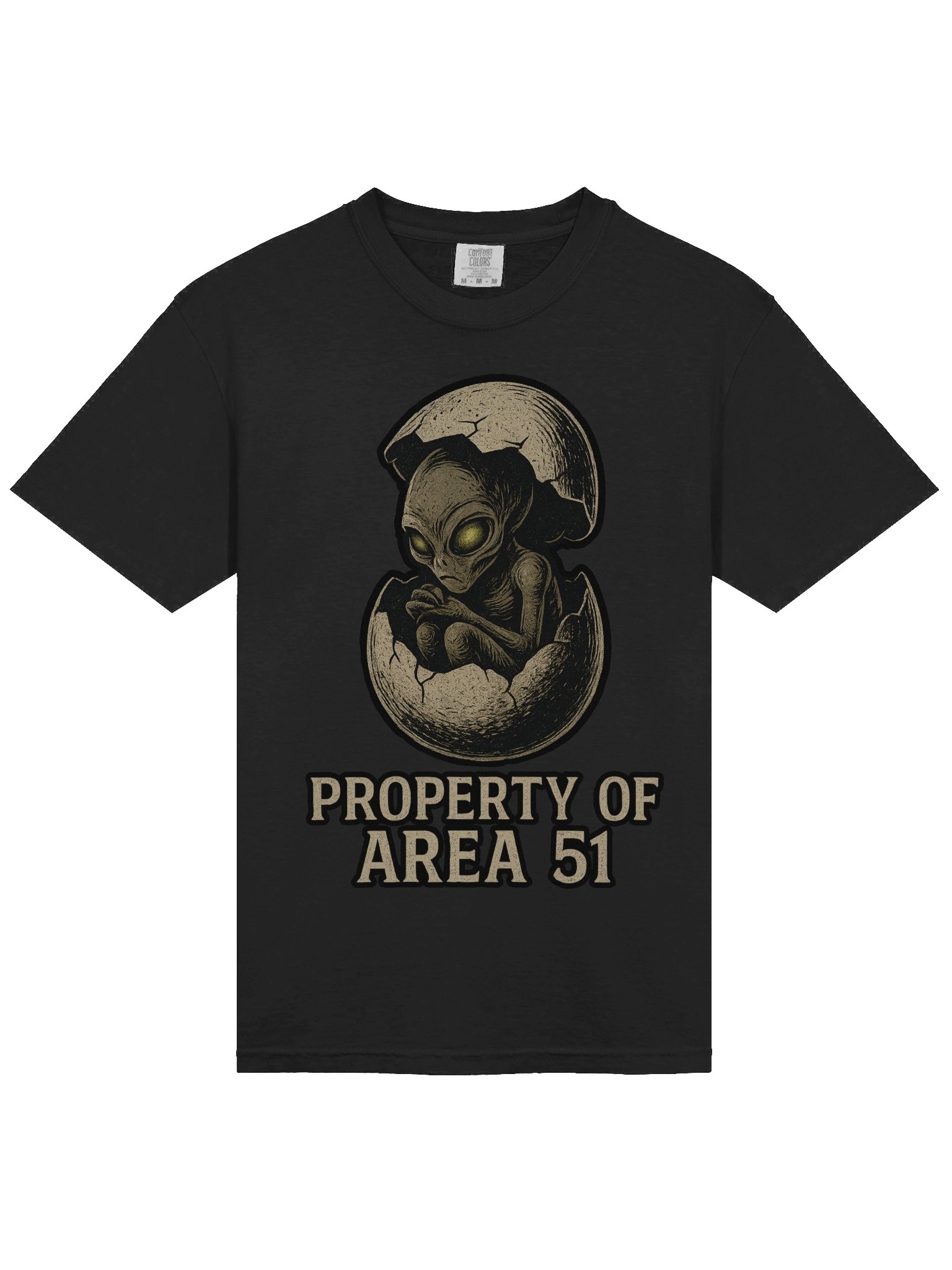 Property of Area 51 Tee product image (3)