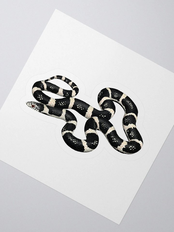 Die-Cut Sticker – Longnosed Snake Clarus Phase product image (2)