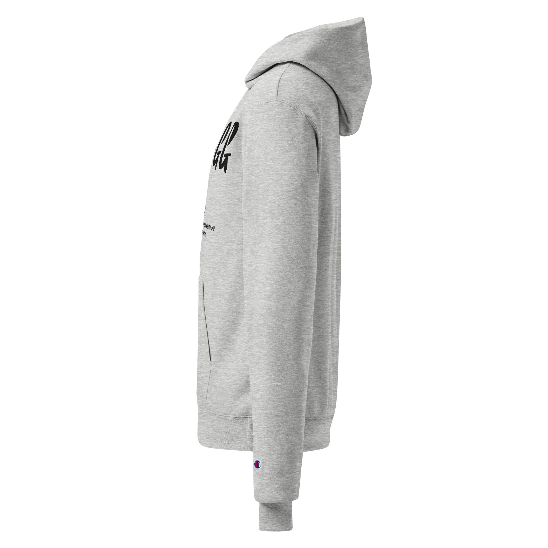 YSAGG Definition Champion Hoddie product image (3)