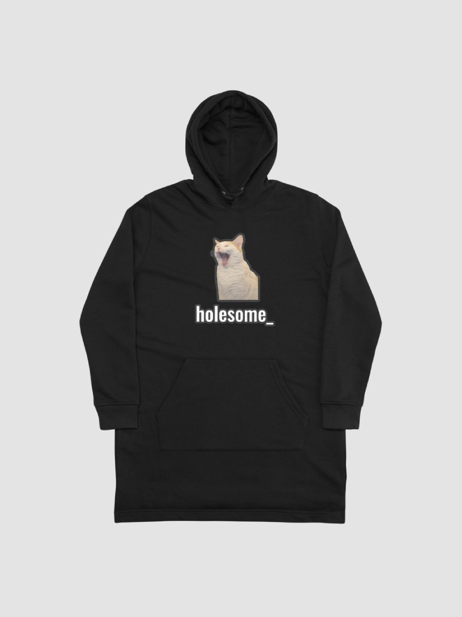 holesome Nico Hoodie Dress product image (1)