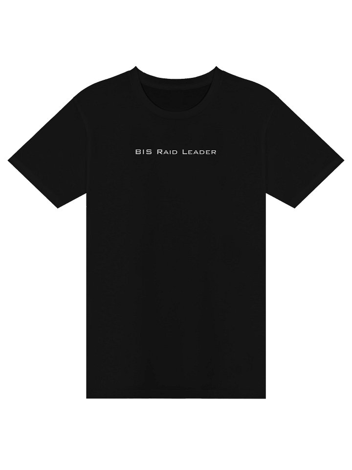 BIS Raid Leader product image (1)